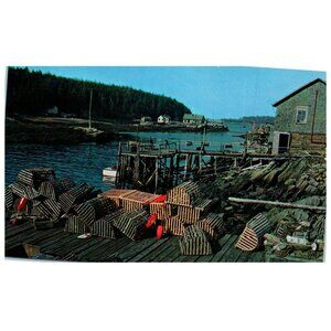 Postcard Chrome A Typical Maine Fishing Village lobster traps buoys fishing gear